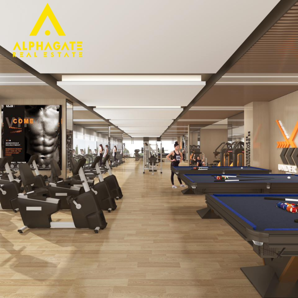 Untitled design 20240203 120101 0000