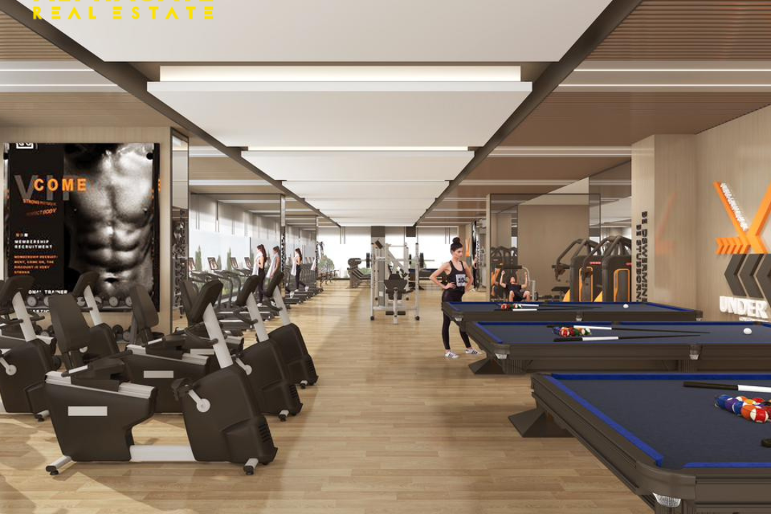 Untitled design_20240203_120101_0000