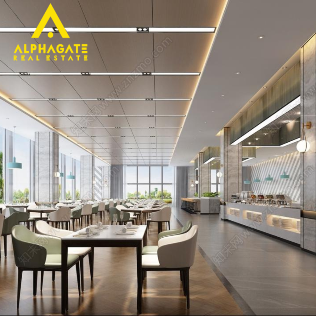 Untitled design 20240203 120145 0000