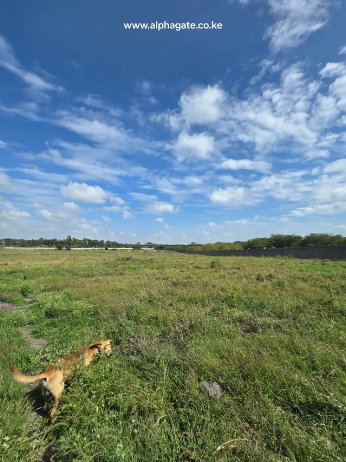 27 acres prime industrial land for sale in Athi River Machakos